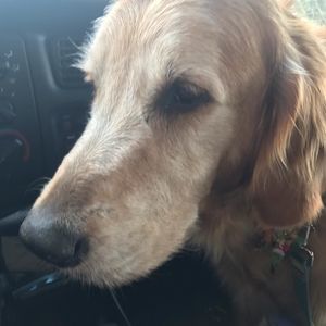 Meet your Posher, Connie